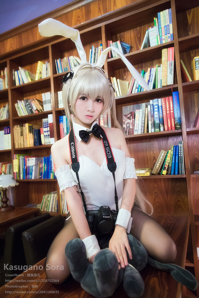 鳗鱼霏儿缘之空穹妹兔女郎