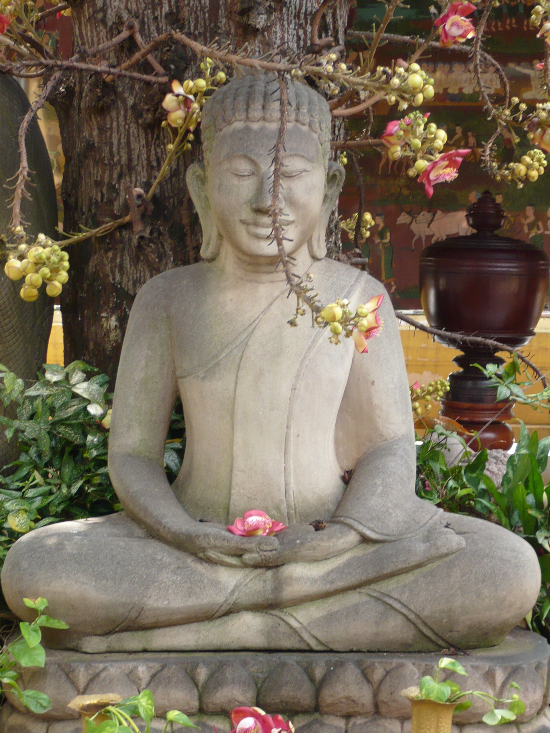 树下,拈花而坐的佛祖.