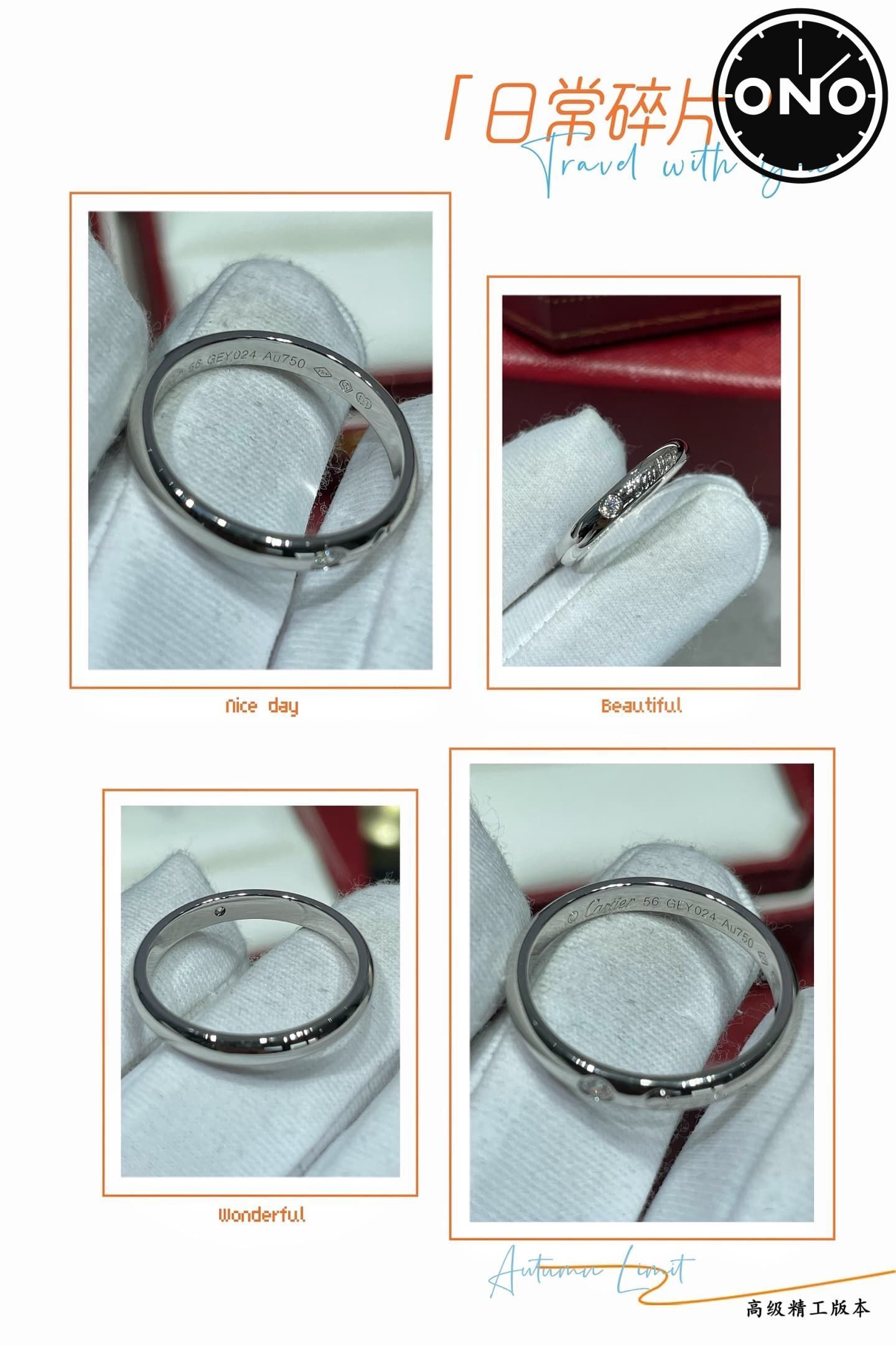 cartier-ring_36_7.jpg