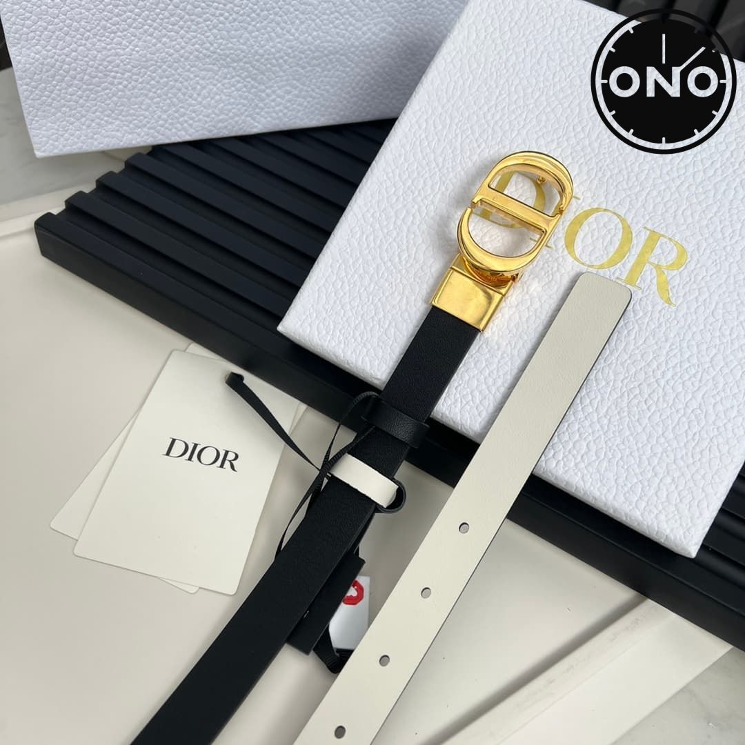 dior_belt_74_3.jpg