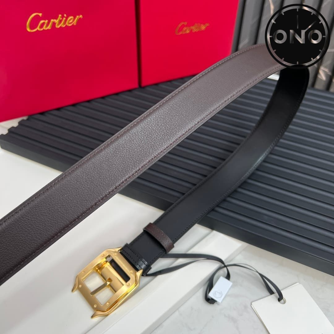 cartier_belt_67_2.jpg