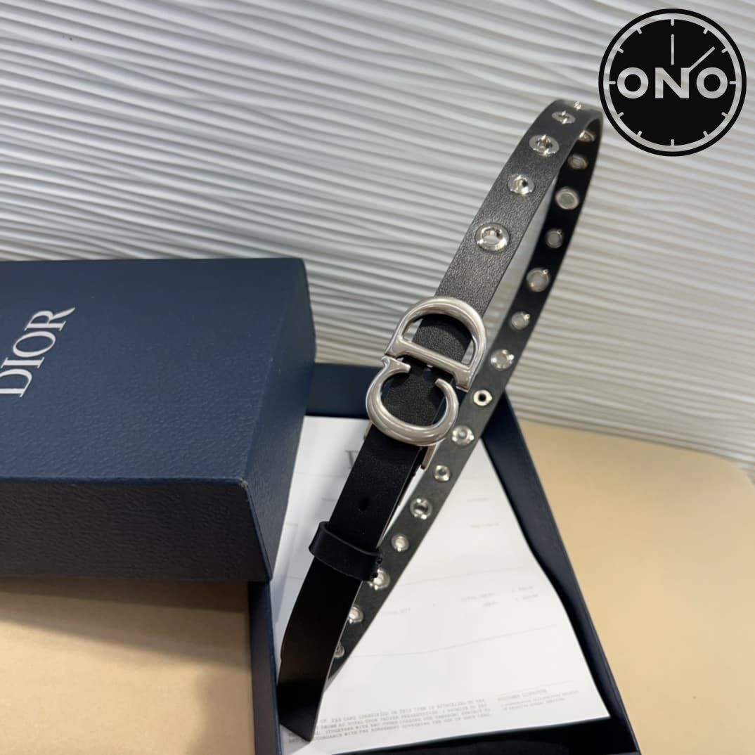 dior_belt_13_1.jpg