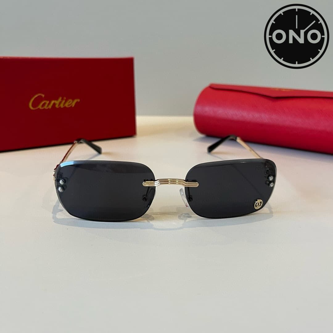 cartier-glasses_79_1.jpg