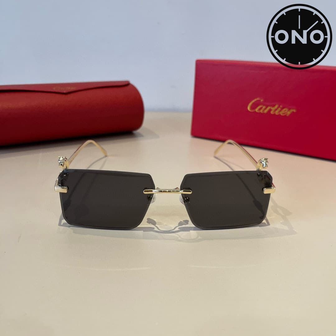 cartier-glasses_44_1.jpg