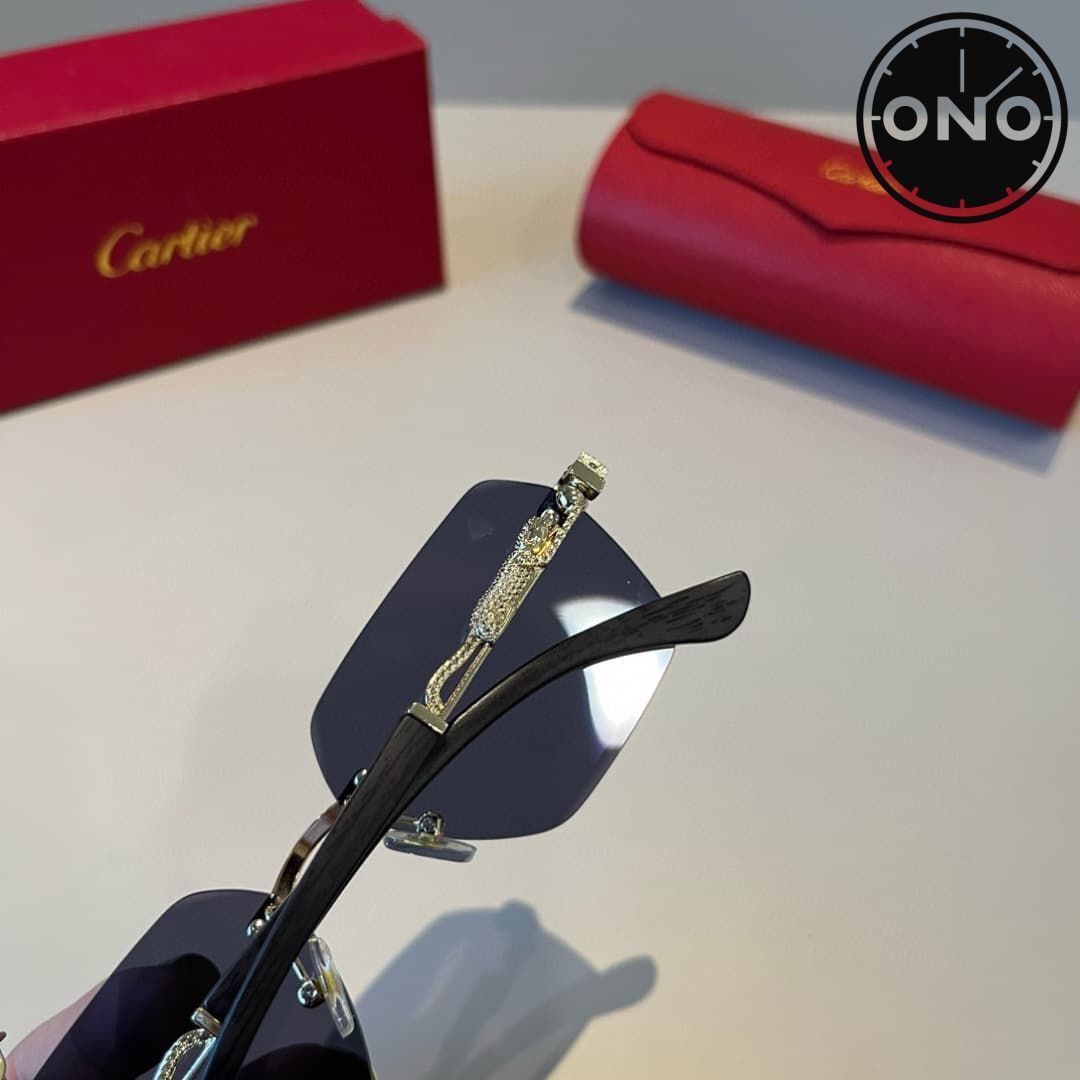 cartier-glasses_49_5.jpg