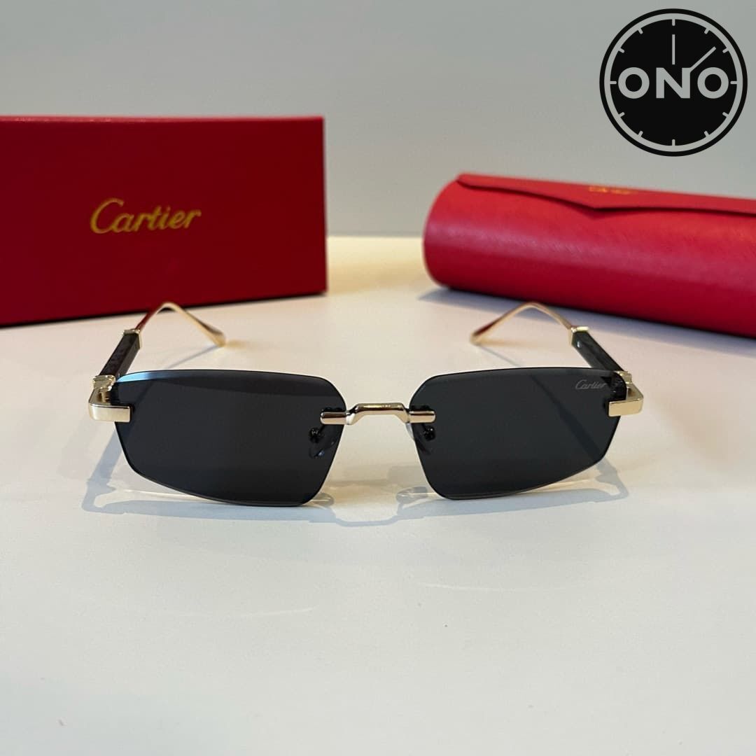 cartier-glasses_71_1.jpg