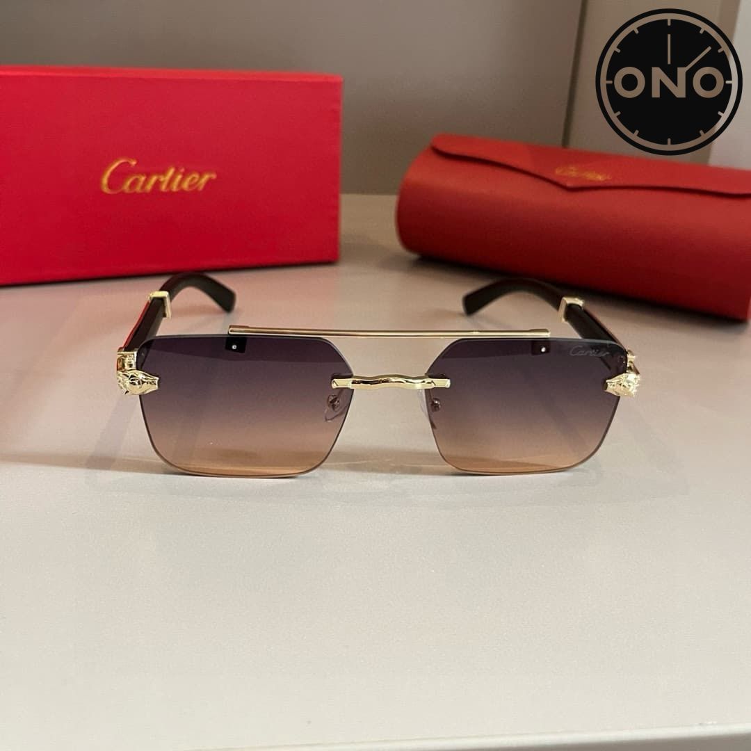cartier-glasses_27_1.jpg