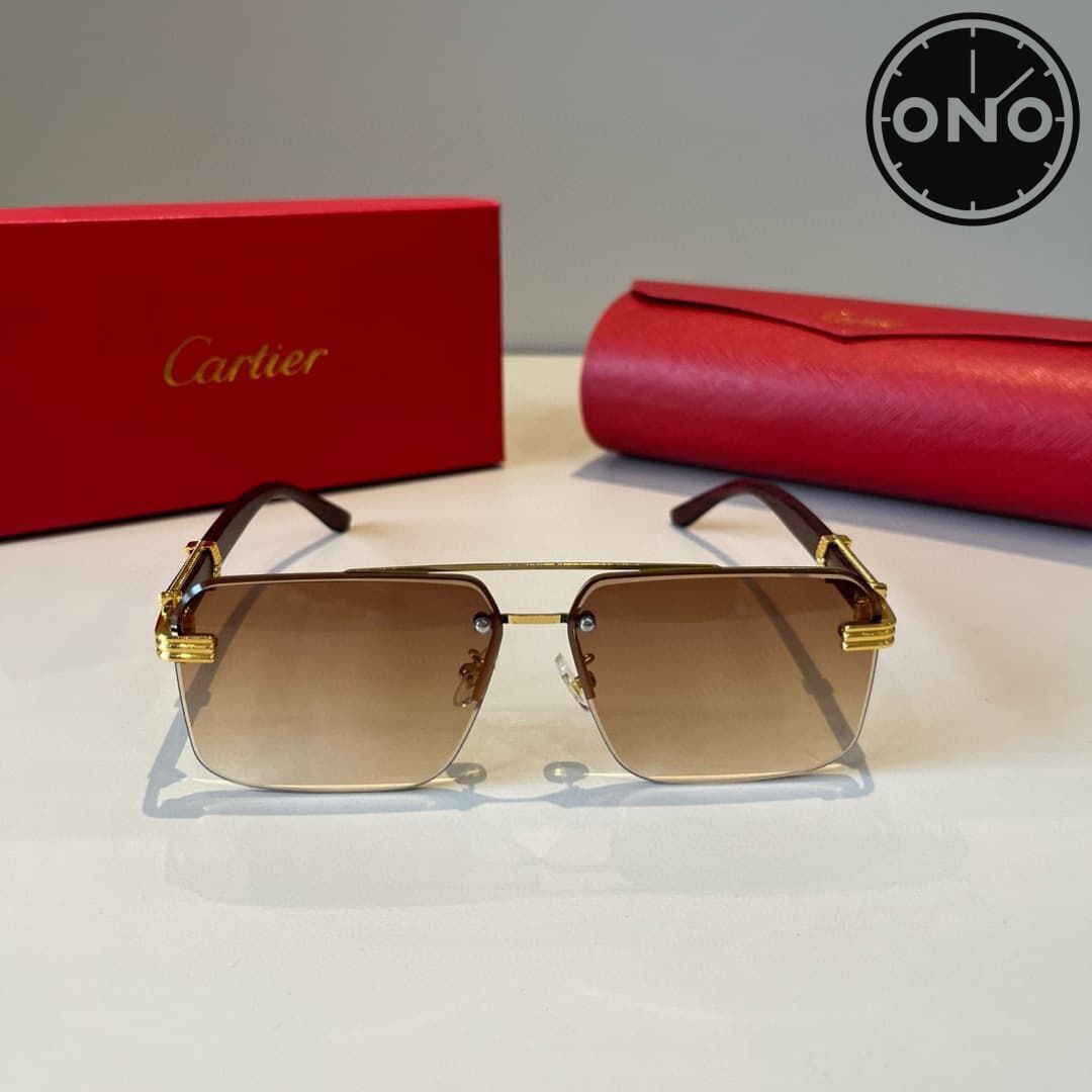 cartier-glasses_89_1.jpg