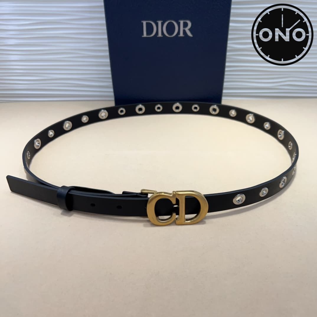dior_belt_14_4.jpg