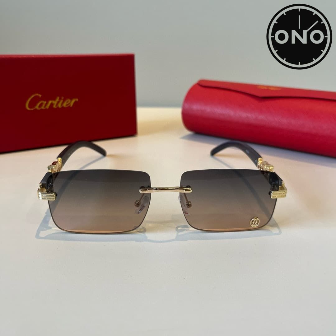 cartier-glasses_37_1.jpg