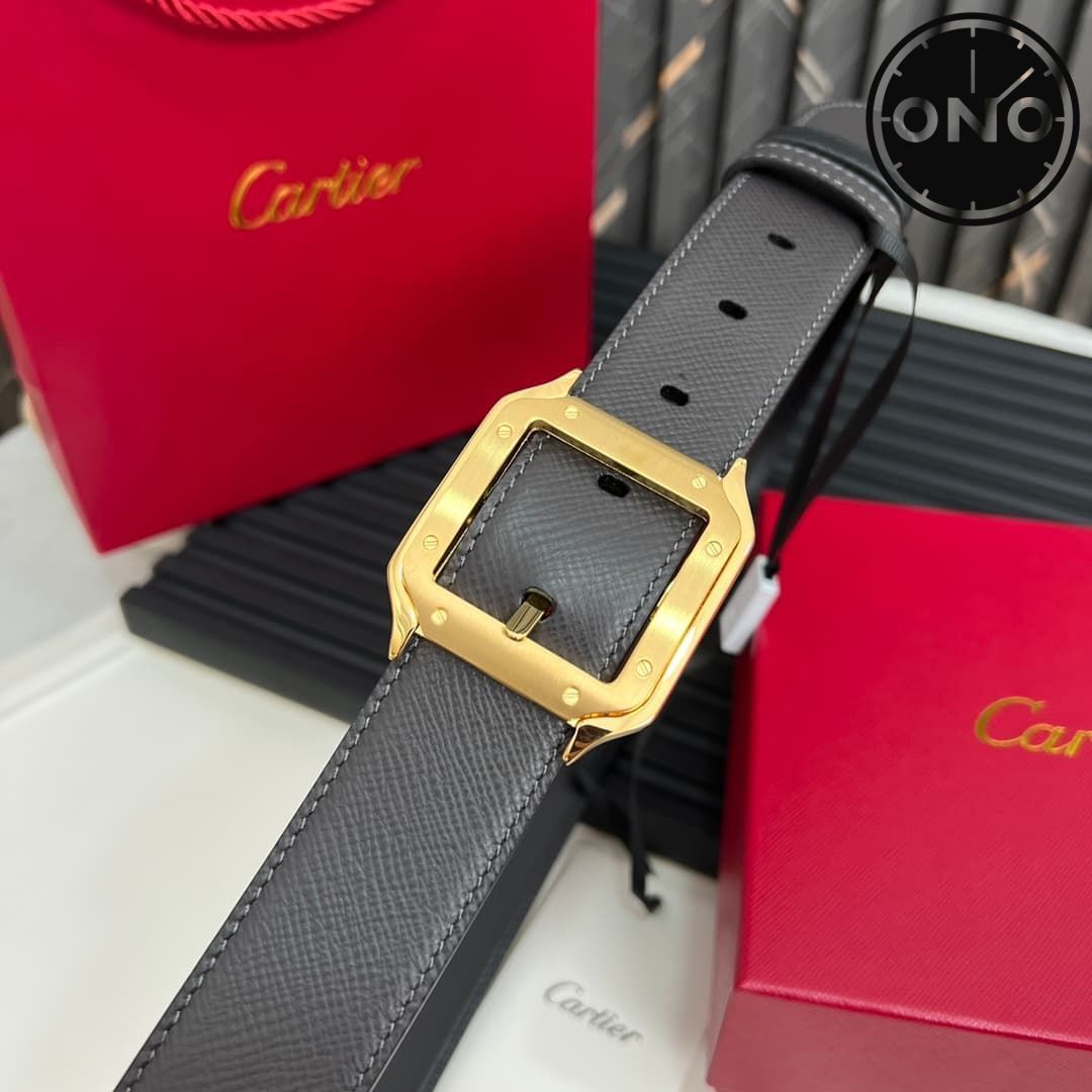 cartier_belt_64_6.jpg