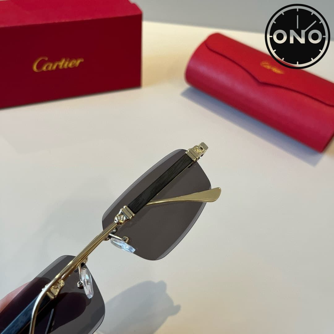 cartier-glasses_69_7.jpg