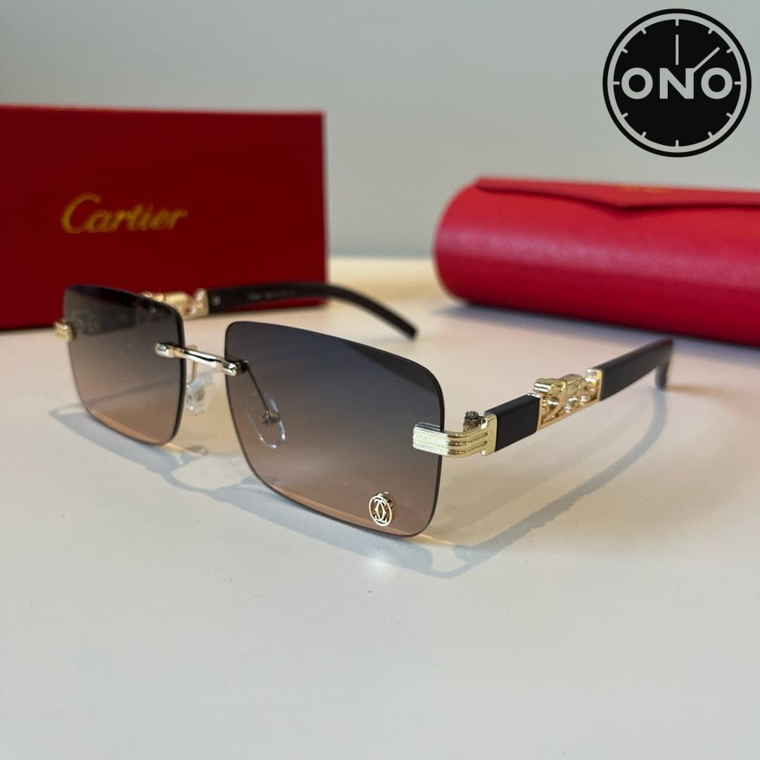 cartier-glasses_98_2.jpg