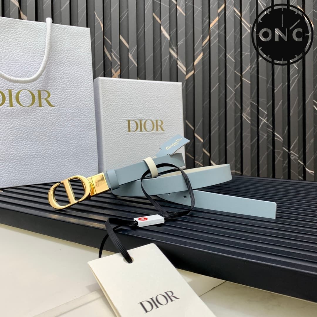 dior_belt_77_1.jpg