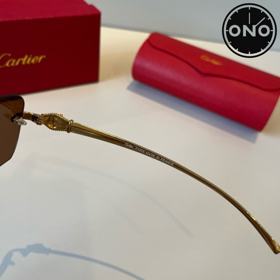 cartier-glasses_113_8.jpg