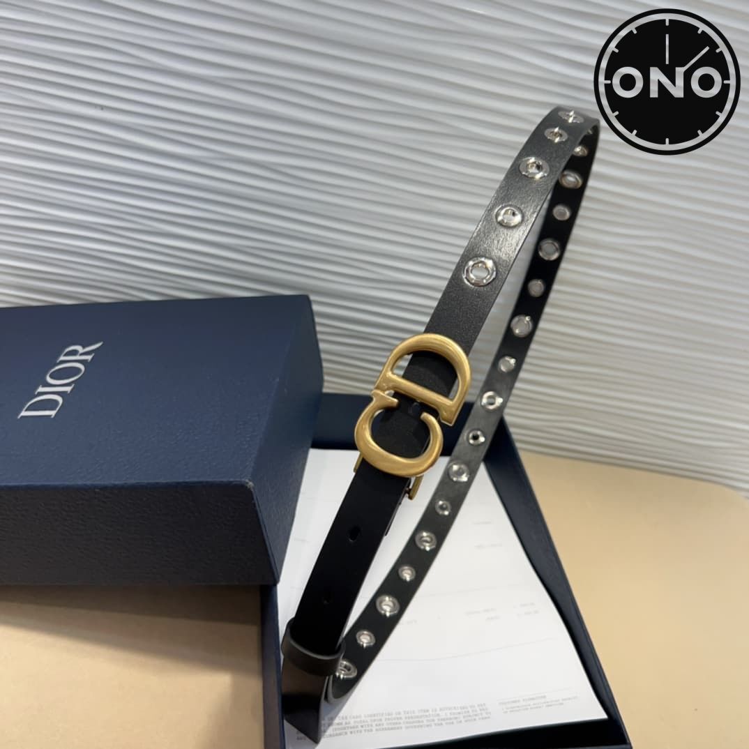 dior_belt_14_2.jpg