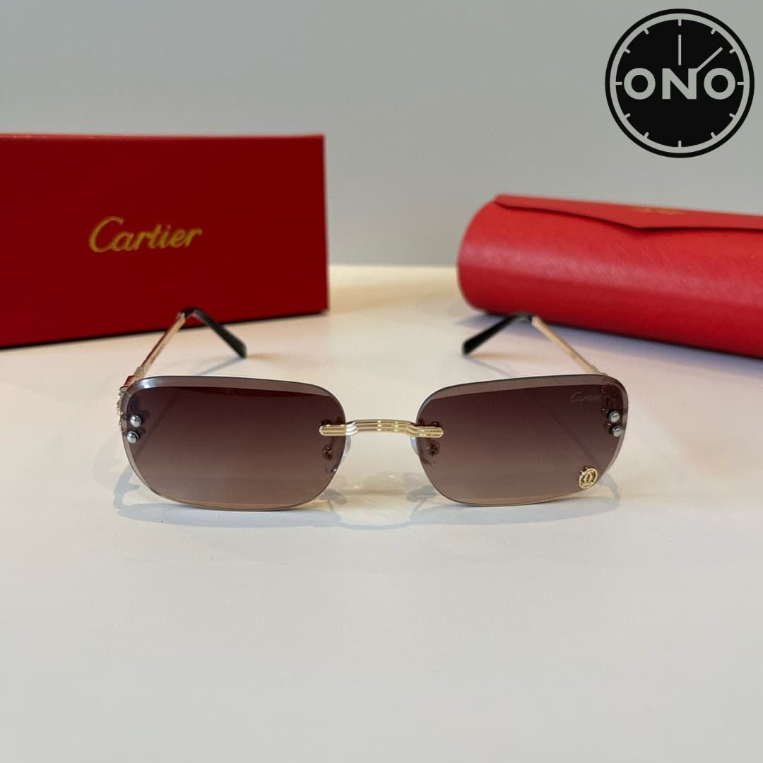 cartier-glasses_82_1.jpg