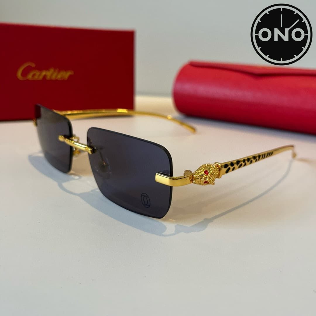 cartier-glasses_41_2.jpg