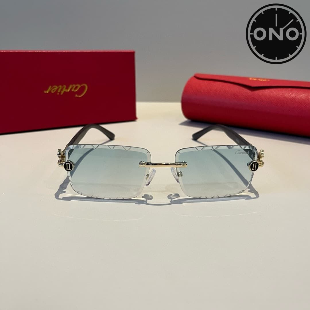 cartier-glasses_110_1.jpg
