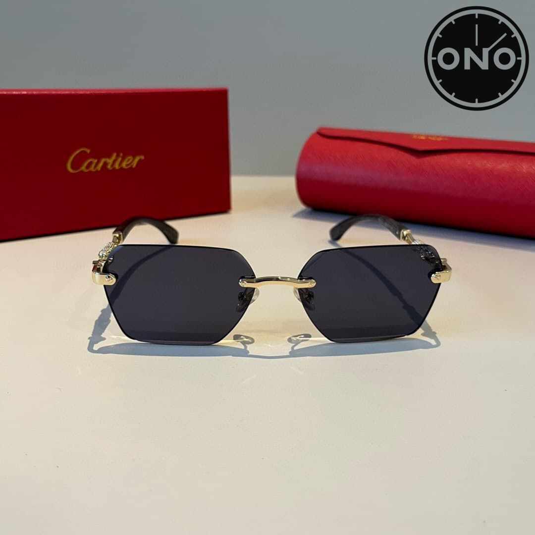 cartier-glasses_49_1.jpg