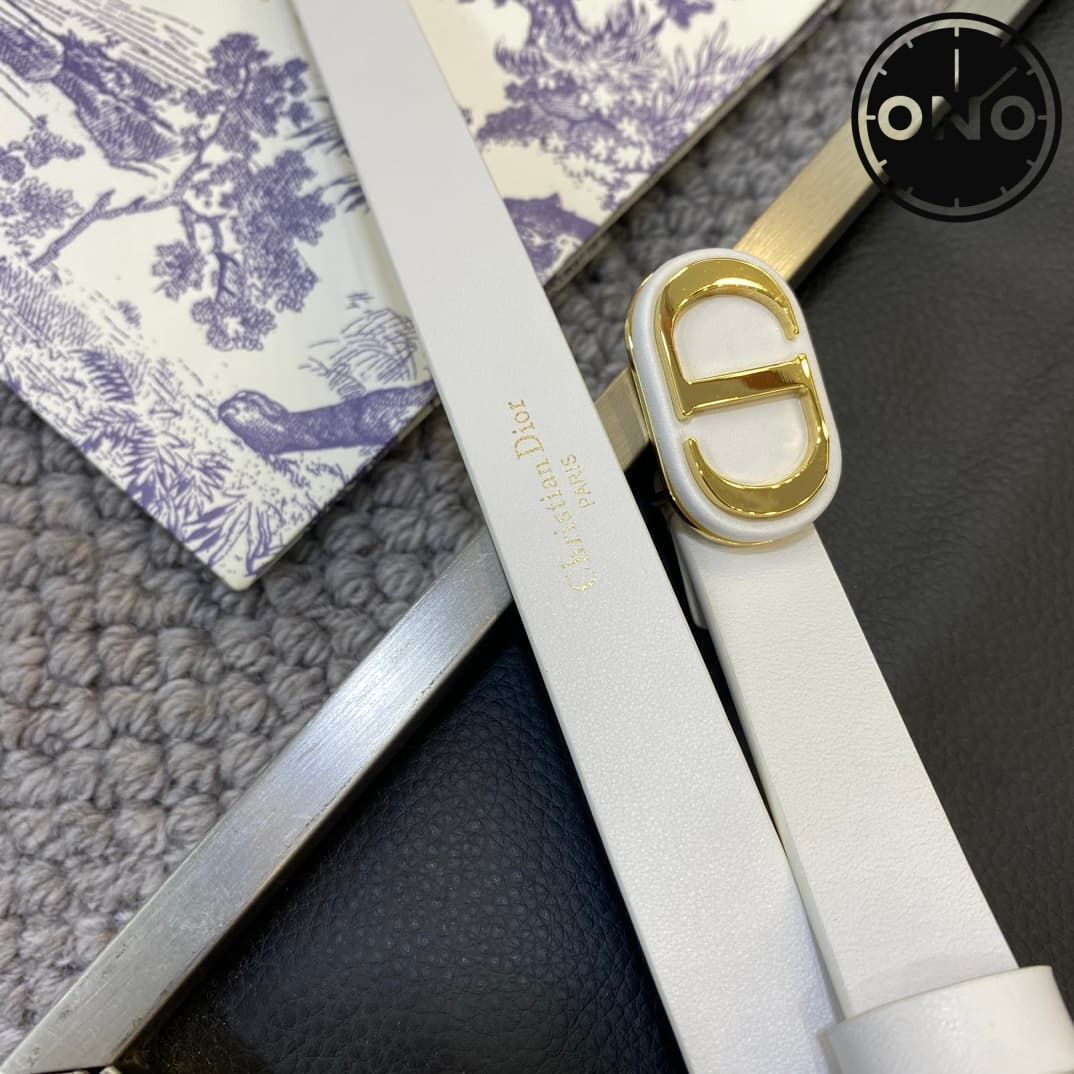 dior_belt_145_4.jpg