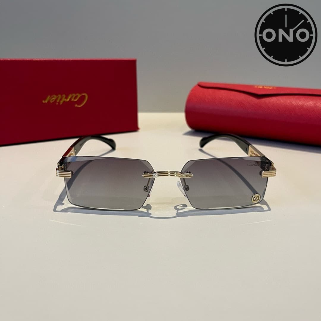 cartier-glasses_51_1.jpg