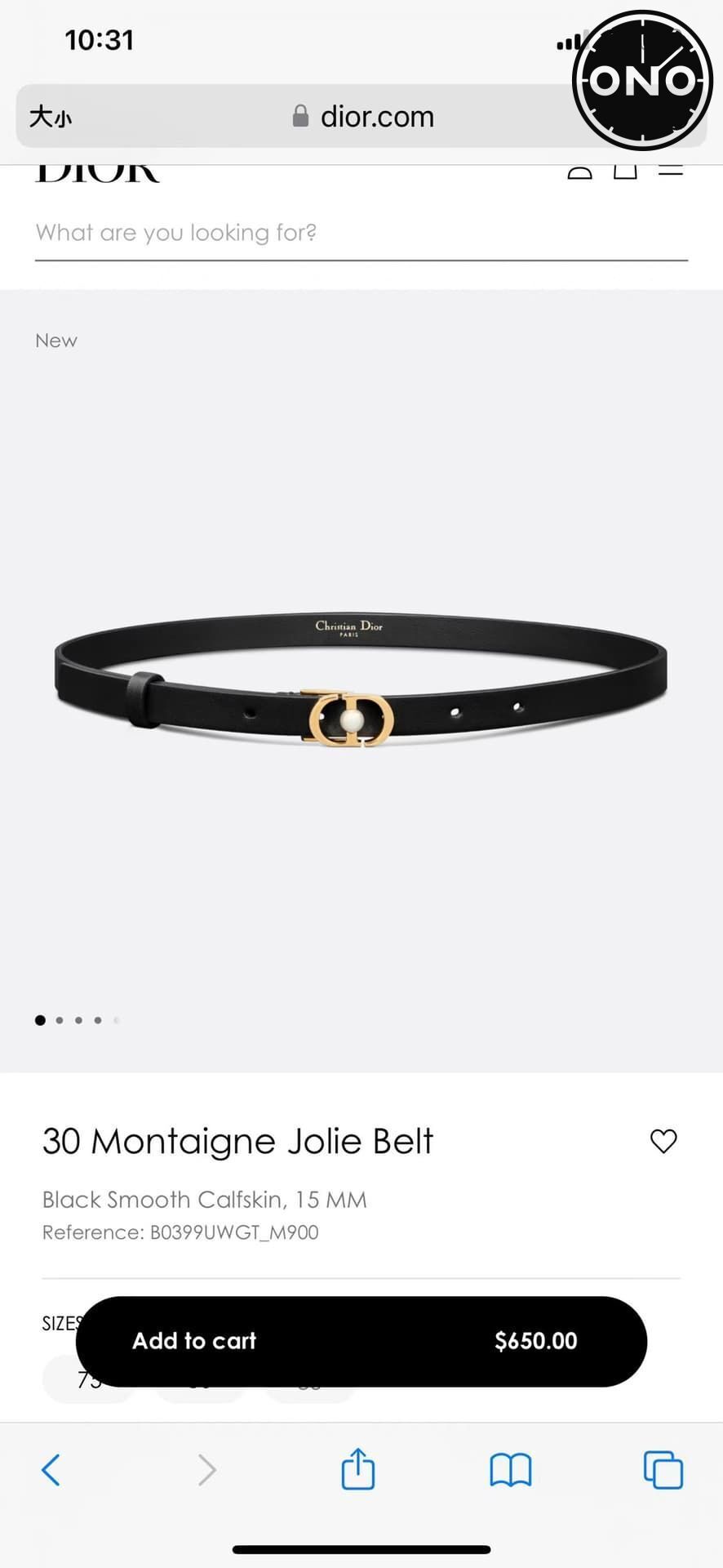 dior_belt_118_7.jpg