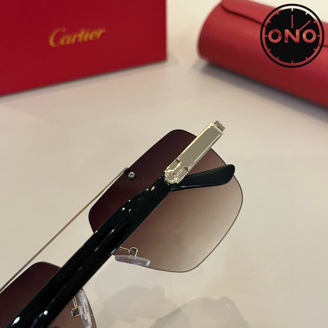 cartier-glasses_15_7.jpg