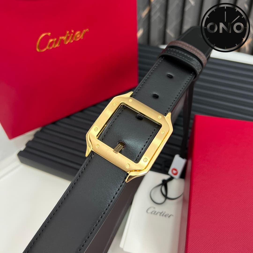 cartier_belt_19_6.jpg