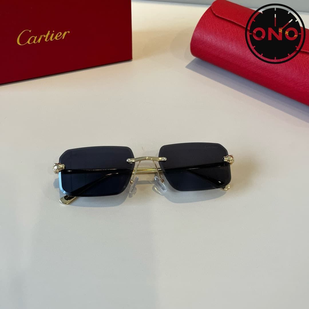 cartier-glasses_100_7.jpg