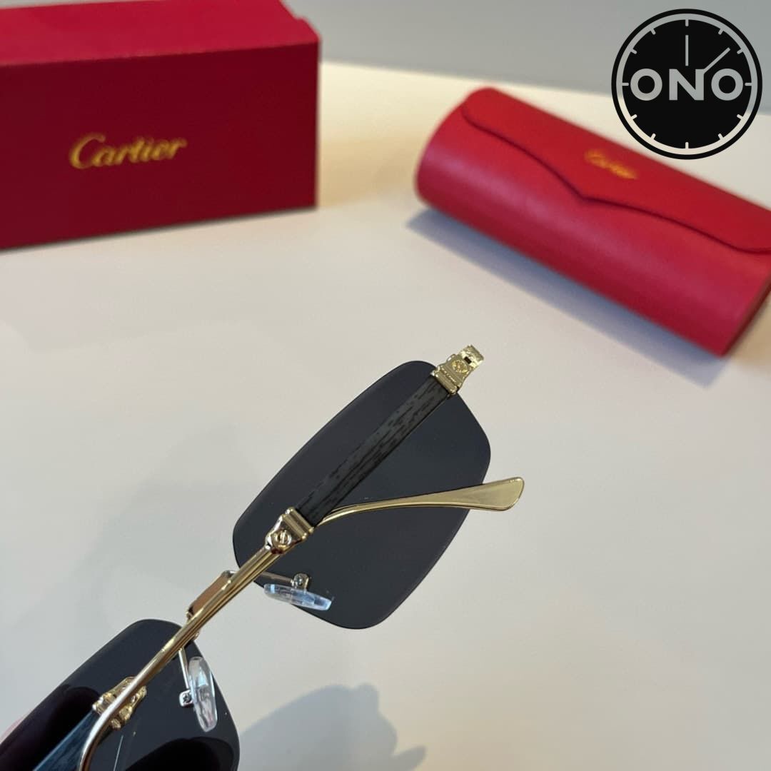 cartier-glasses_71_5.jpg