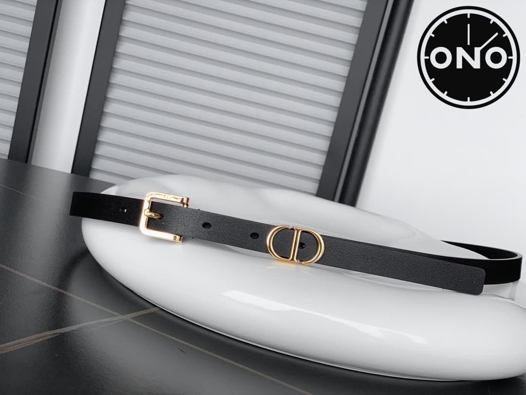 dior_belt_89_1.jpg