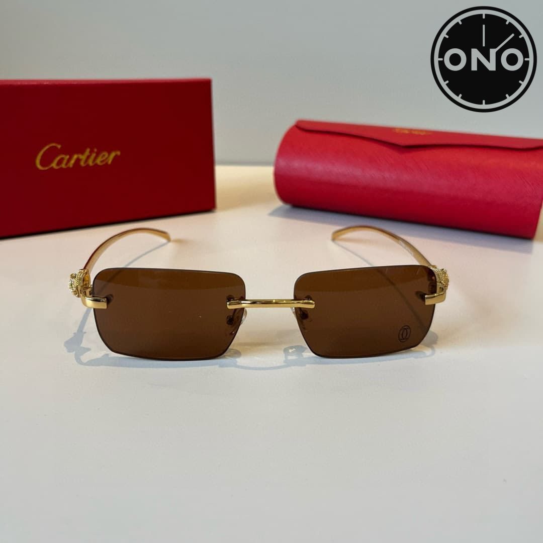 cartier-glasses_113_1.jpg