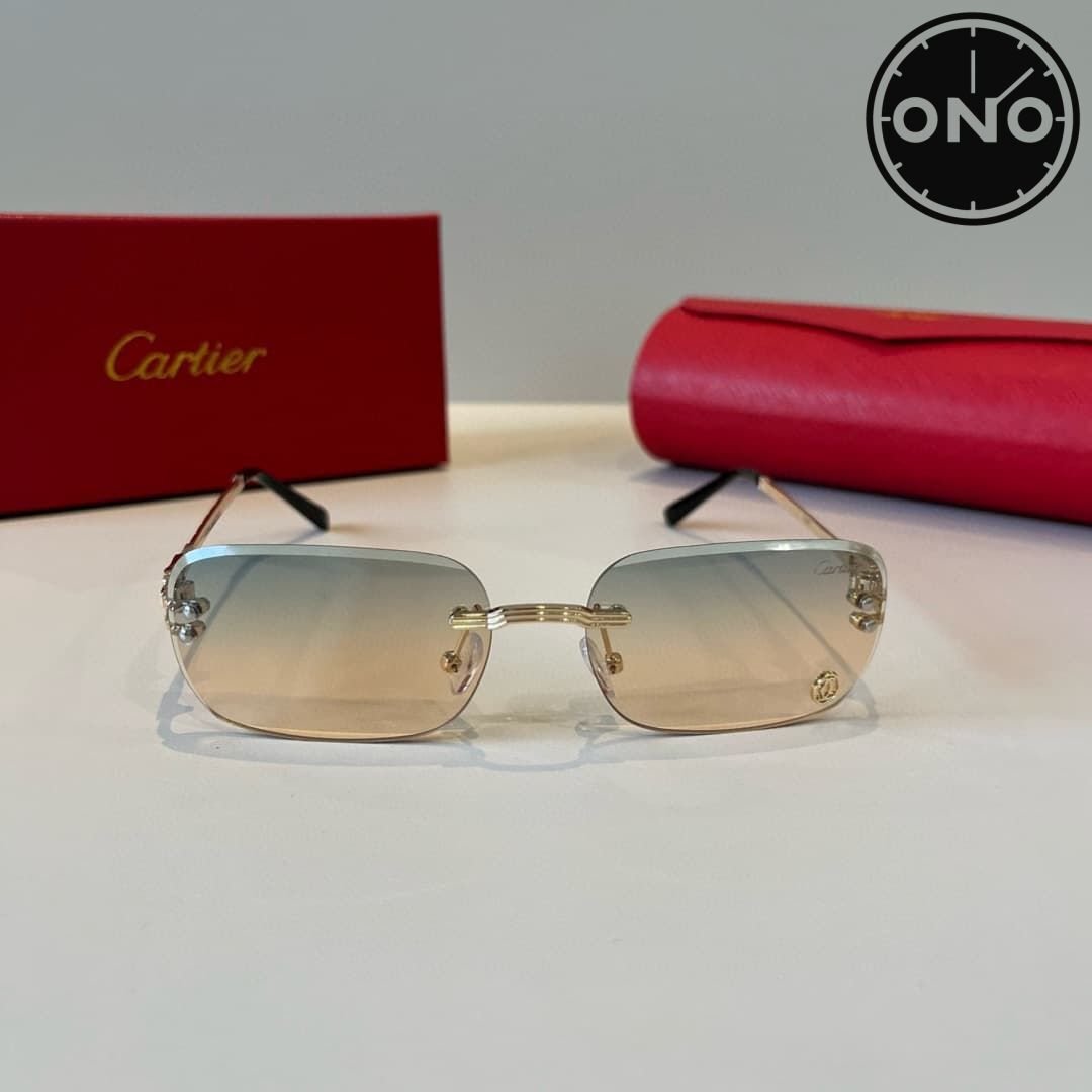cartier-glasses_80_1.jpg