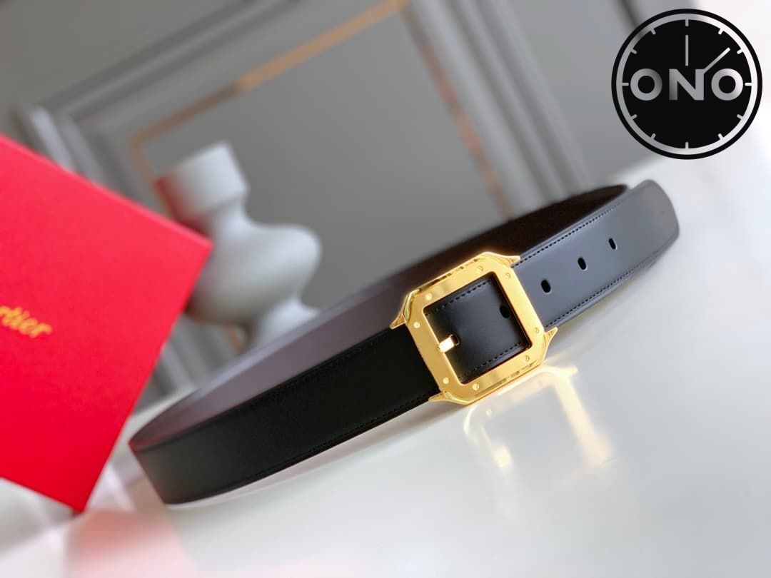 cartier_belt_60_1.jpg
