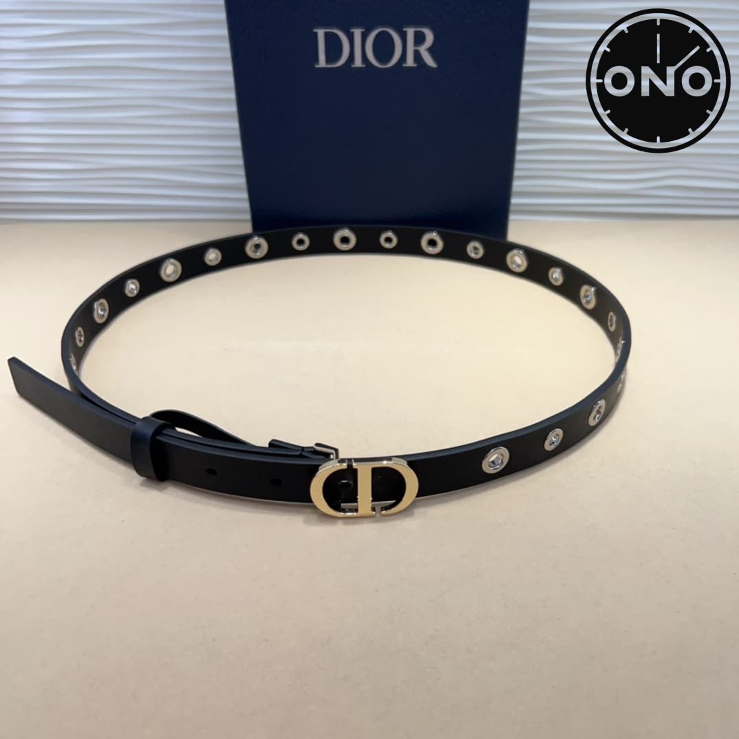 dior_belt_12_3.jpg