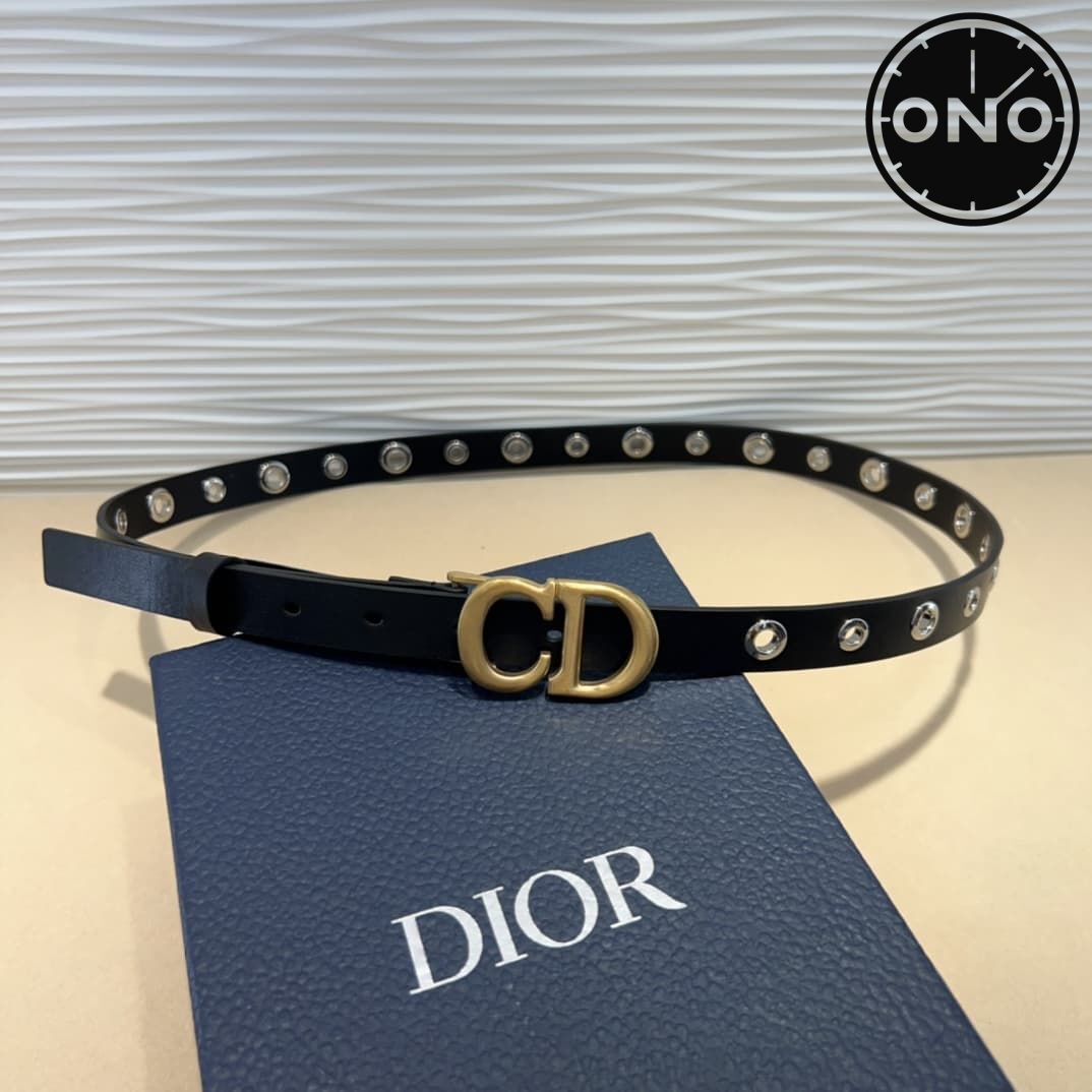 dior_belt_14_3.jpg
