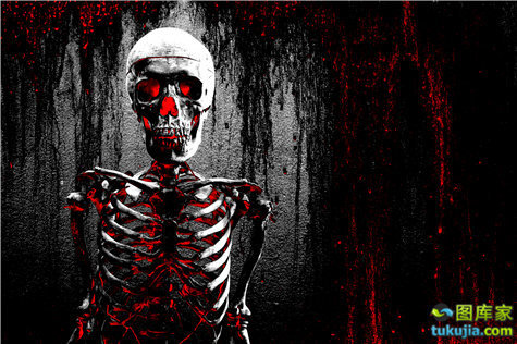 骷髅skull头骨恐怖危险骷髅图案骨骼危险标志jpg948