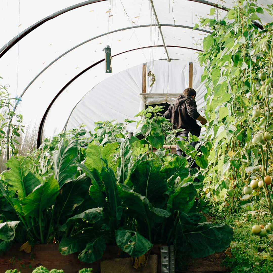 Transparente Plane Gewächshaus Folie Durchsichtig Outdoor Dicke Klare