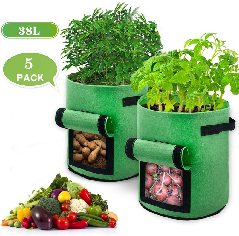 Gelb Pflanzen Tasche,Kartoffel Pflanzsack,Kartoffel Pflanzsack aus Vliesstoff Blumen Pflanztasche mit sichtbarem Fenster und Griffen,Grow Bag Pflanzsäcke für Kartoffeln Gemüs,3 Stück. Pflanzen Gelb Pflanzen Tasche,Kartoffel Pflanzsack,Kartoffel Pflanzsack aus Vliesstoff Blumen Pflanztasche mit sichtbarem Fenster und Griffen,Grow Bag Pflanzsäcke für Kartoffeln Gemüs,3 Stück. Pflanzen