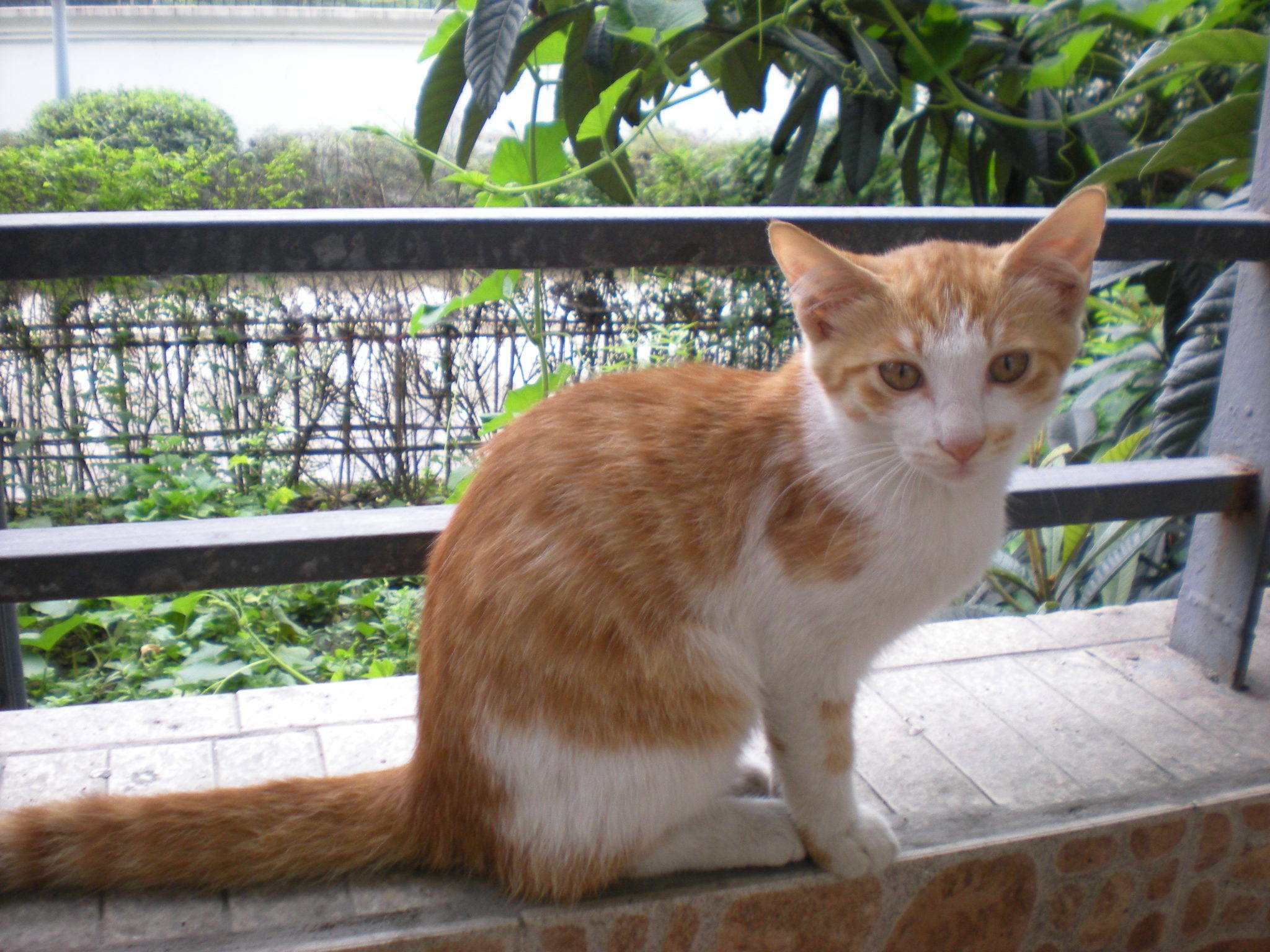 "安登逸"同志是个好姐姐